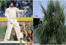 Foto: $5,000 por el disfraz de arbusto del show de Bad Bunny en el Super Bowl LX/Cortesía