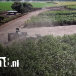 Foto: Oro Blanco de Nicaragua: el azúcar impulsa la economía y la innovación agrícola/TN8