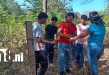 INATEC de Nandaime honra a Augusto C. Sandino con jornada ambiental Foto: Juventud honra legado de Sandino con reforestación/TN8