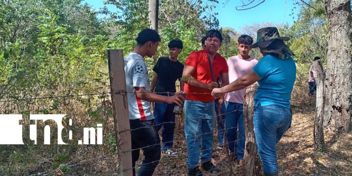 Foto: Juventud honra legado de Sandino con reforestación/TN8