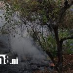 Incendio en Cerro Los Martínez amenazó viviendas en Valle Dorado Foto: Alarma en Valle Dorado por incendio de maleza en Cerro Los Martínez / TN8