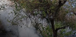 Foto: Alarma en Valle Dorado por incendio de maleza en Cerro Los Martínez / TN8