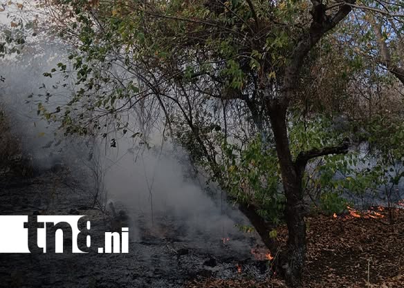 Foto: Alarma en Valle Dorado por incendio de maleza en Cerro Los Martínez / TN8 Foto: Alarma en Valle Dorado por incendio de maleza en Cerro Los Martínez / TN8