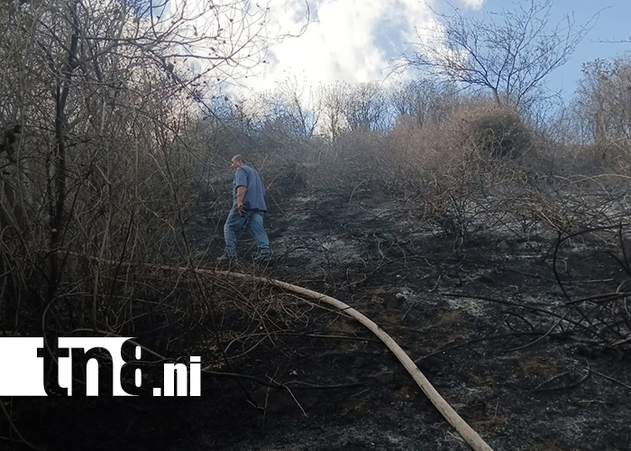 Foto: Alarma en Valle Dorado por incendio de maleza en Cerro Los Martínez / TN8