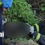 Foto: Motociclista pierde control y cae a un cauce en San Judas/TN8