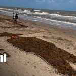 Foto:Caribe Norte se prepara para un verano de playas limpias y diversión familiar/ TN8