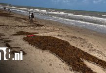 Foto:Caribe Norte se prepara para un verano de playas limpias y diversión familiar/ TN8