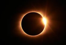 Gran espectáculo: Eclipse solar de «anillo de fuego» este 17 de febrero Foto: Así será el eclipse solar anular de febrero de 2026 /Cortesía