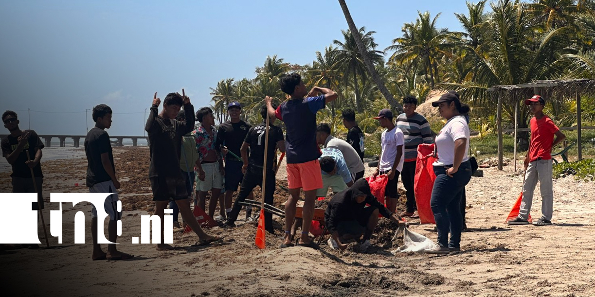 Foto:Caribe Norte se prepara para un verano de playas limpias y diversión familiar/ TN8
