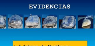 Foto: Incautan marihuana y crack durante Plan de Seguridad Ciudadana /TN8