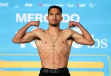 Tito Mercado y su conexión con Nicaragua: Próximamente en 8 Deportivo Foto: TIto Mercado, boxeador con raíces en Nicaragua