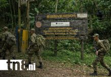 Foto: Ejército de Nicaragua y la protección de recursos naturales / TN8