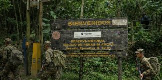 Foto: Ejército de Nicaragua y la protección de recursos naturales / TN8
