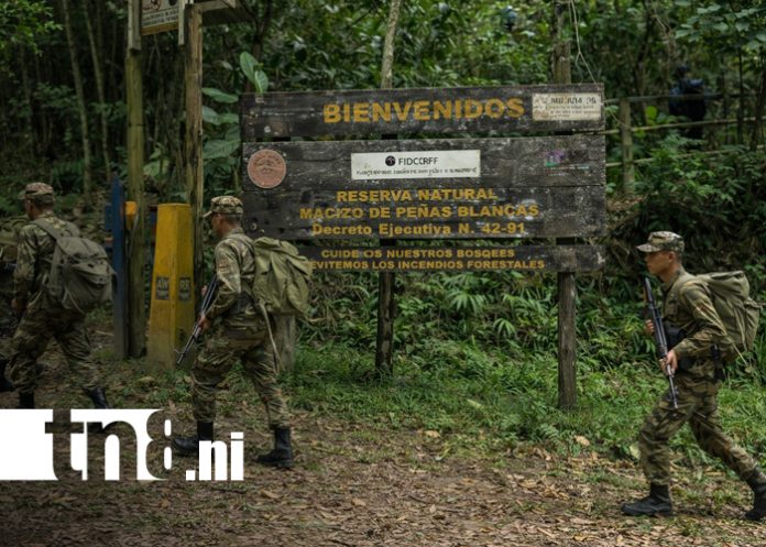 Foto: Ejército de Nicaragua y la protección de recursos naturales / TN8 Foto: Ejército de Nicaragua y la protección de recursos naturales / TN8
