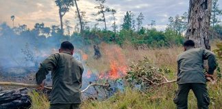 Foto: Incendio en Prinzapolka, Caribe Norte