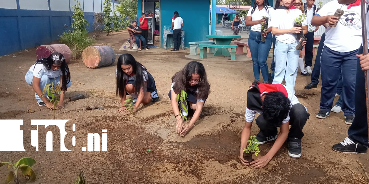 Foto: homenaje a Sandino sembrando vida en su centro educativo /TN8