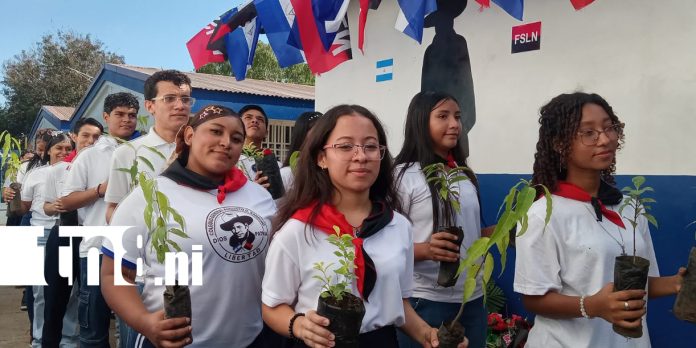 Foto: homenaje a Sandino sembrando vida en su centro educativo /TN8