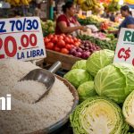 Foto: Productos de la canasta básica en Nicaragua / TN8
