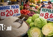 Foto: Productos de la canasta básica en Nicaragua / TN8