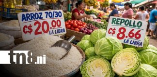 Foto: Productos de la canasta básica en Nicaragua / TN8