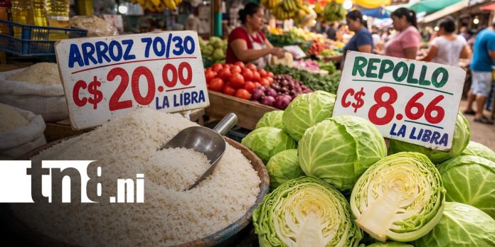 Foto: Productos de la canasta básica en Nicaragua / TN8