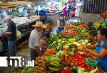 Foto: 13 productos de la canasta básica mantienen su precio / TN8