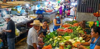 Foto: 13 productos de la canasta básica mantienen su precio / TN8