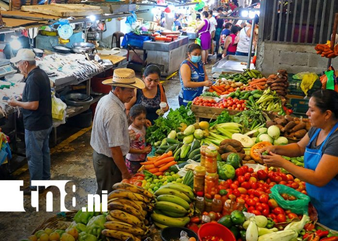 Foto: 13 productos de la canasta básica mantienen su precio / TN8
