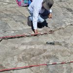 Foto: Fósil de ballena antigua pone a Nicaragua en el mapa paleontológico /Cortesía