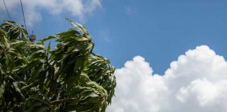 Foto: Reporte del clima en Nicaragua por parte de INETER / TN8