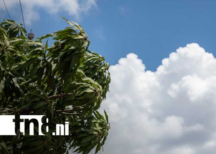 Foto: Reporte del clima en Nicaragua por parte de INETER / TN8
