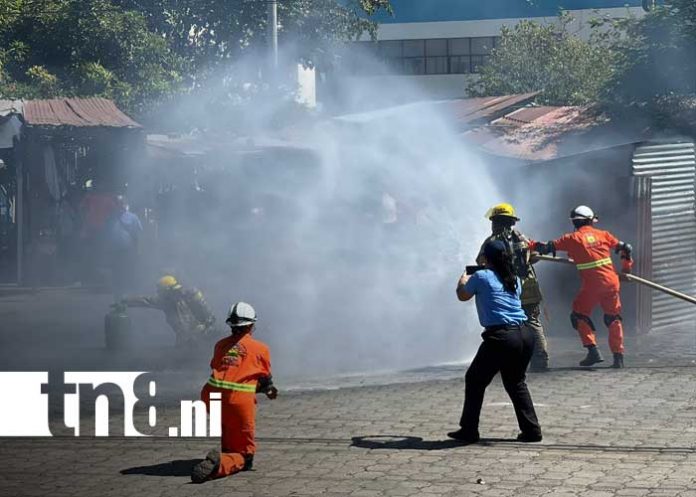 Foto: Capacitación con Bomberos en Managua / TN8 Foto: Capacitación con Bomberos en Managua / TN8
