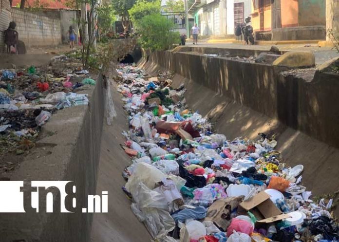 Foto: Barrio Las Torres, en Managua, con grave problema de basura / TN8