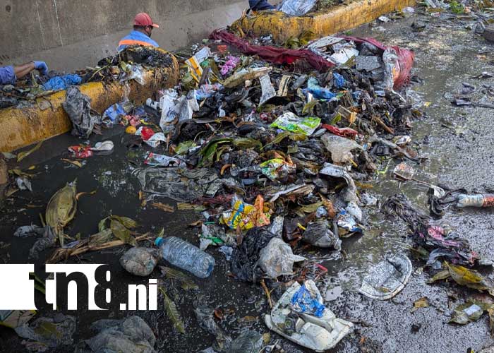 Foto: Limpieza de basura en el barrio Las Torres, Managua / TN8