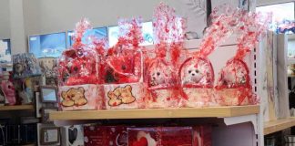 Foto: Ofertas por San Valentín en el Mercado Oriental / TN8