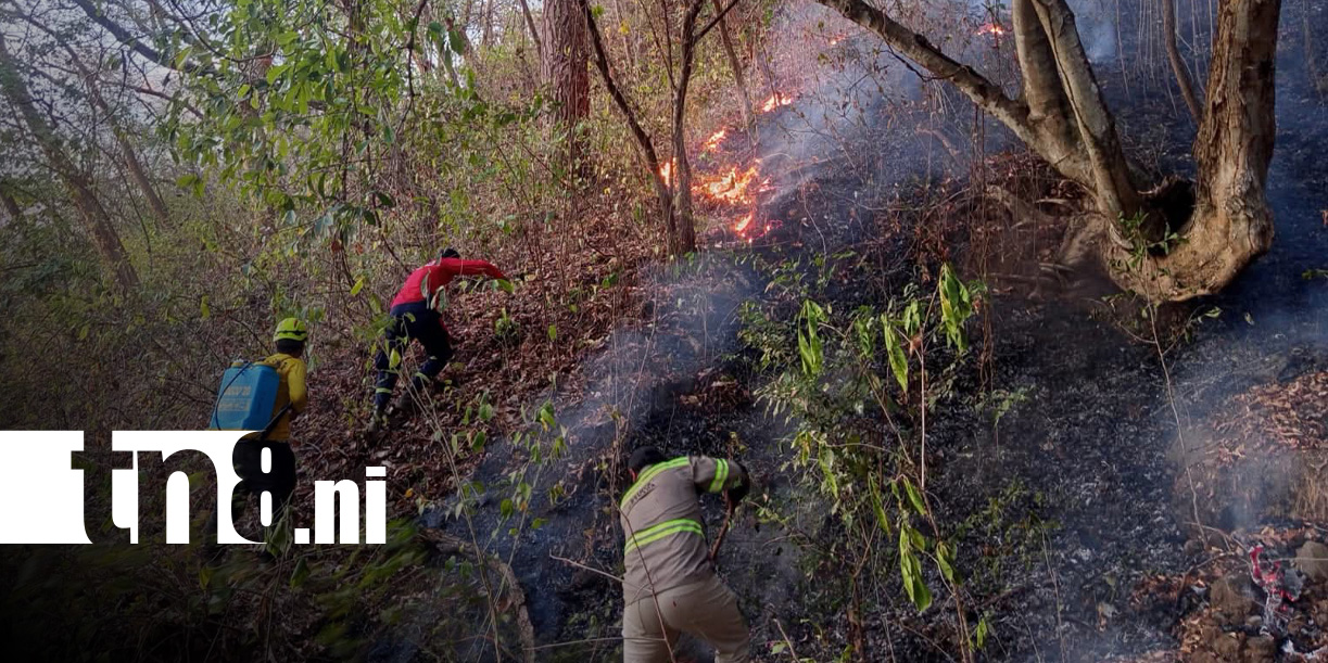 Foto: Incendio en el sector de la Laguna de Apoyo, desde Granada / TN8