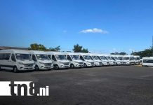 Entregan primera flota de microbuses Yutong a transportistas de siete departamentos Foto: Nuevos microbuses Yutong para transportistas de departamentos / TN8