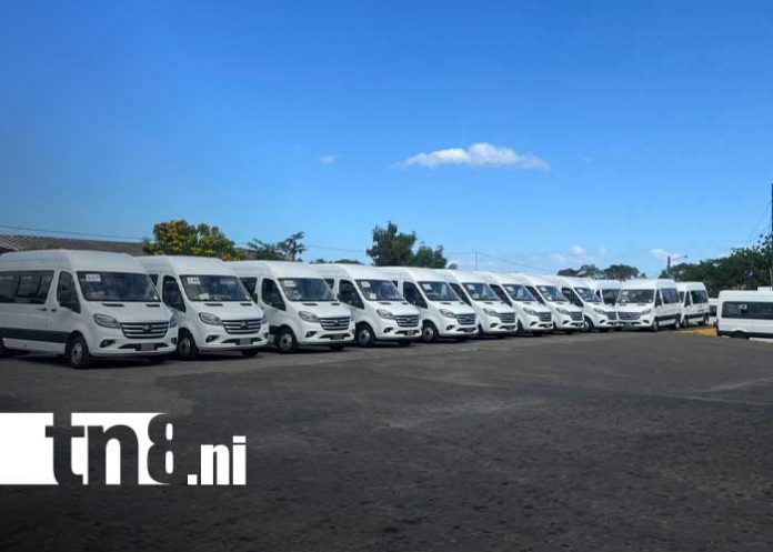 Foto: Nuevos microbuses Yutong para transportistas de departamentos / TN8