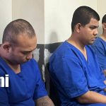 Foto: Procesados por supuestamente comercializar cocaína en Managua / TN8
