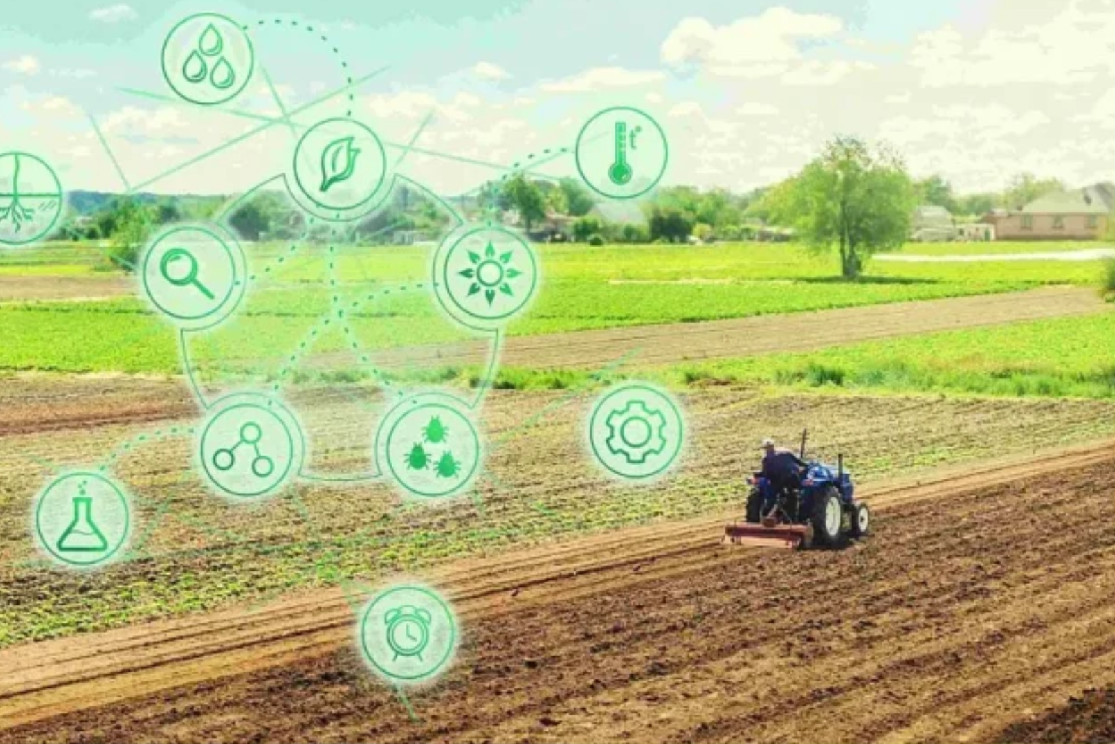 Foto:India busca aumentar productividad rural con inteligencia artificial/Cortesìa 