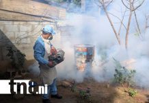 Foto: Fumigación en Managua / TN8
