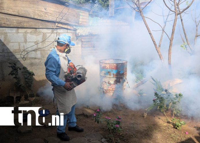 Foto: Fumigación en Managua / TN8