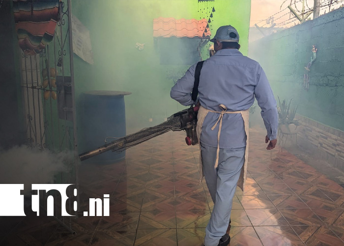 Foto: Fumigación en Managua / TN8