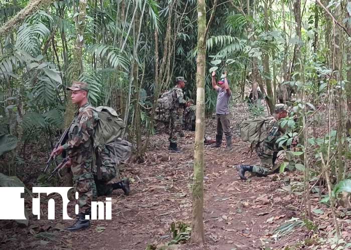 Foto: Ejército de Nicaragua y la protección de recursos naturales / TN8