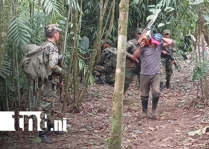 Foto: Ejército de Nicaragua y la protección de recursos naturales / TN8