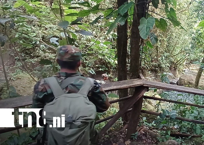 Foto: Ejército de Nicaragua y la protección de recursos naturales / TN8