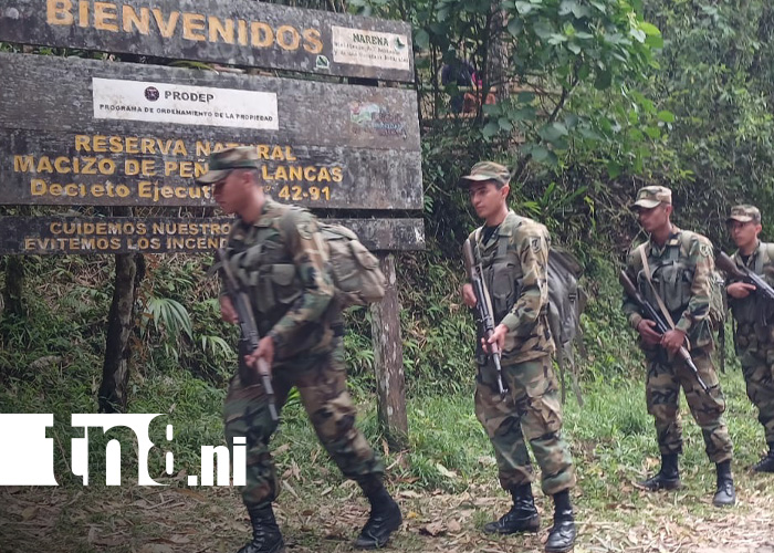 Foto: Ejército de Nicaragua y la protección de recursos naturales / TN8