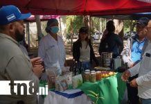 Foto: Matrículas de INATEC vigentes en carreras agrícolas de Nicaragua / TN8