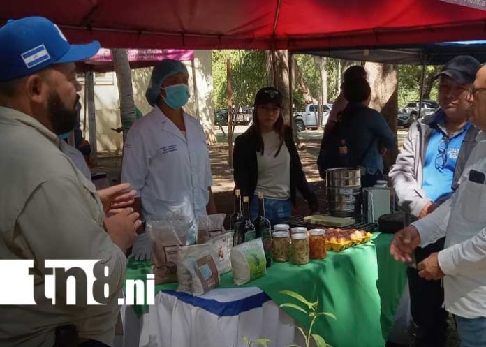 Foto: Matrículas de INATEC vigentes en carreras agrícolas de Nicaragua / TN8