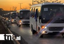 Foto: Nuevos autobuses chinos para el transporte público de Nicaragua / TN8